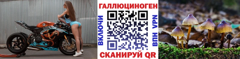 Псилоцибиновые грибы Cubensis Верхний Тагил